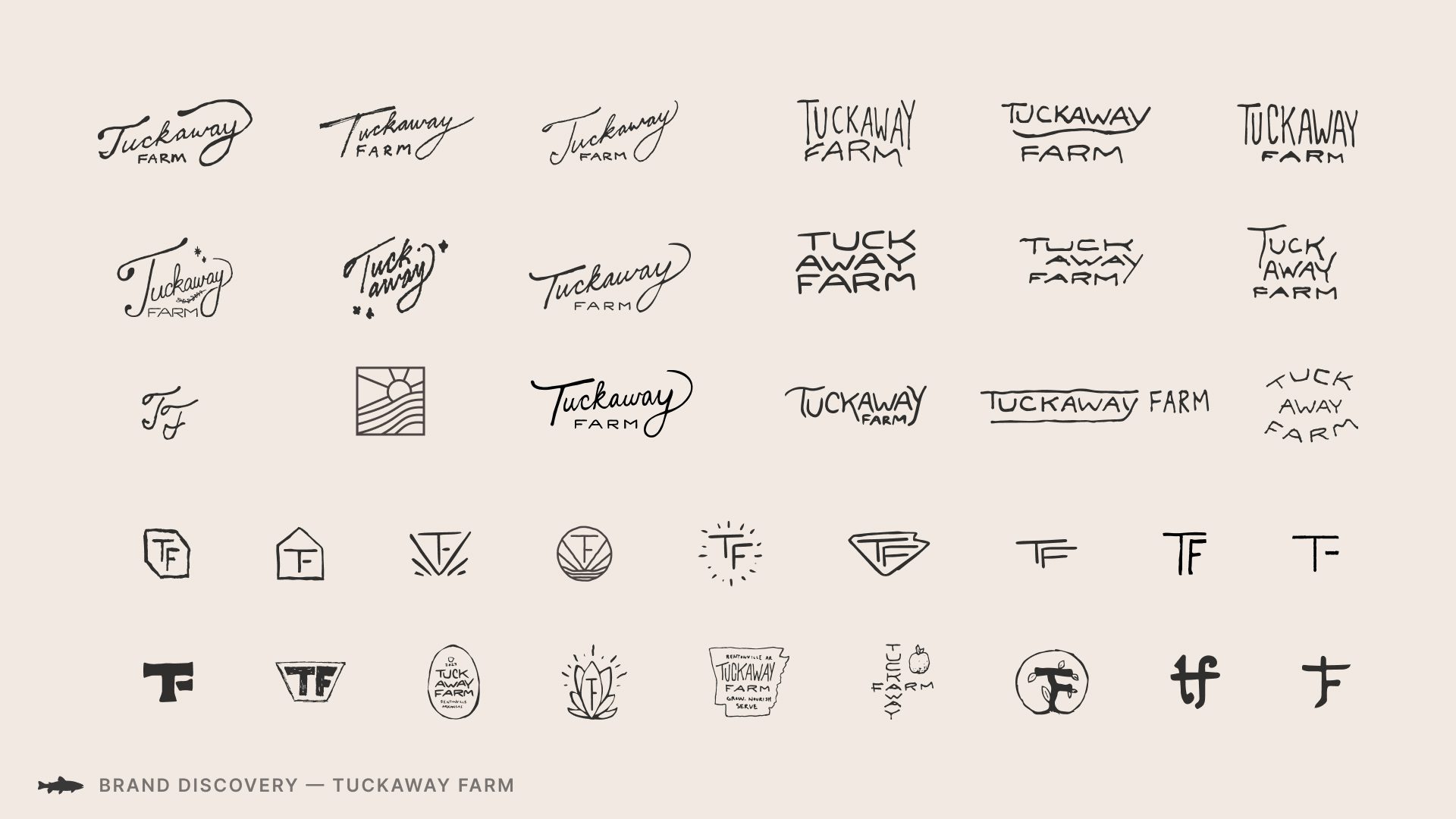 An image of logo concept ideas and sketches for Tuckaway Farm